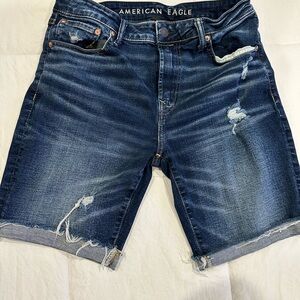 American Eagle Outfitters Men's Blue Denim Shorts